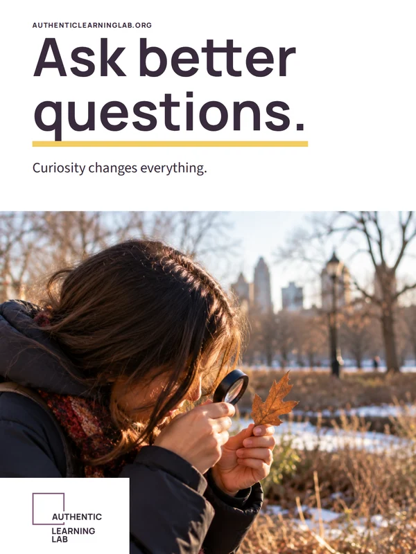 Poster: Ask better questions.