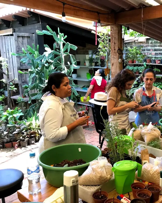 Educators in a garden workshop in Puerto Vallarta